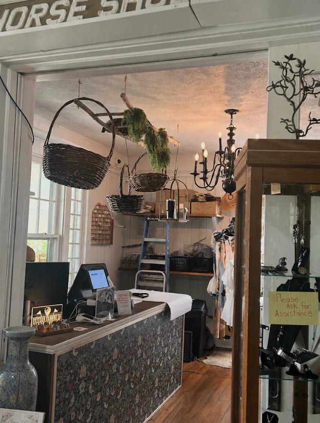 Interior of a rustic retail shop with wooden counter, hanging baskets, vintage chandelier, and plants displayed throughout the storefront
