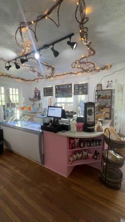 Interior of a small coffee shop with pink counter, POS system, mounted chalkboard menus, decorative branch lighting above, and wooden floors
