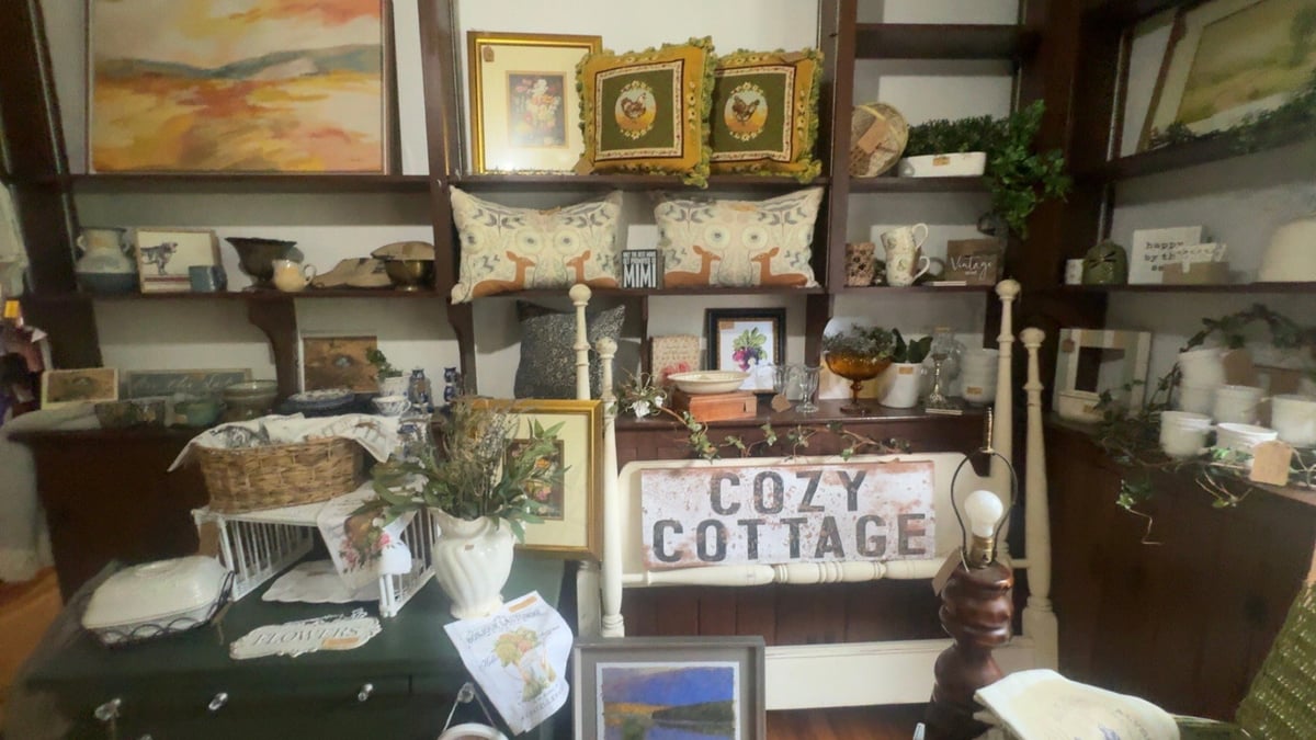 Retail display for Cozy Cottage featuring home decor items, artwork, plants, and decorative accessories arranged on wooden shelving