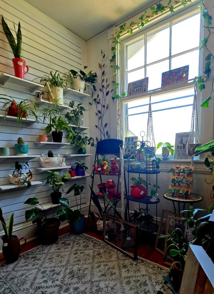 A bright plant-filled room with white shiplap walls, floating shelves displaying potted plants, a large window with hanging plants, and tiered plant stands near the window sill