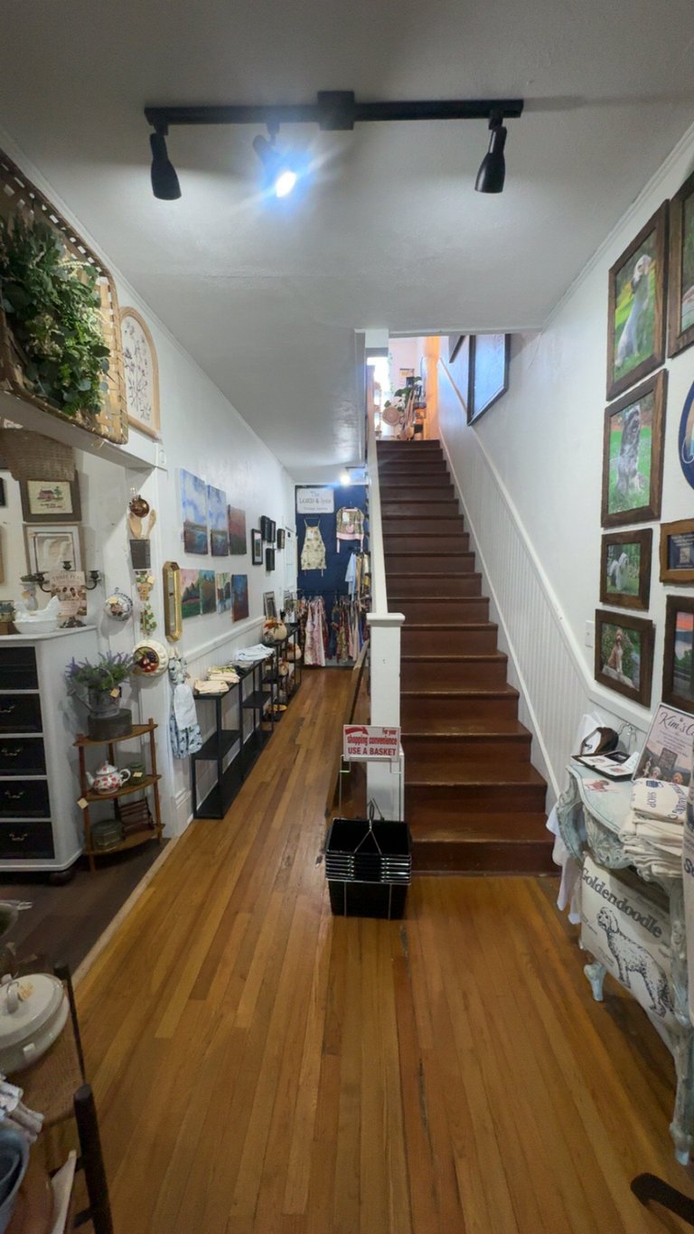 A hallway with wooden floors leading to stairs, lined with framed photos and artwork on white walls, decorated with plants and personal items