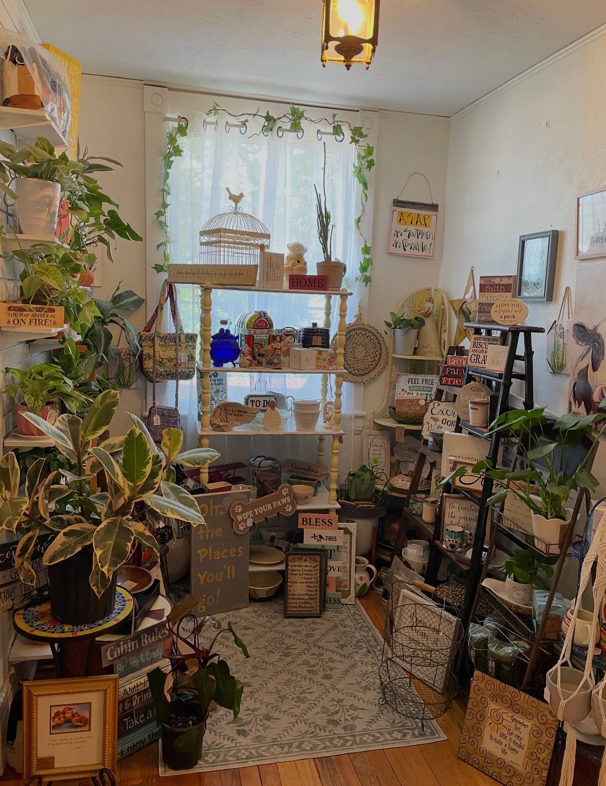 Cozy home interior filled with potted plants, wooden shelving, decorative signs, and vintage decor arranged throughout a bright room with natural light.