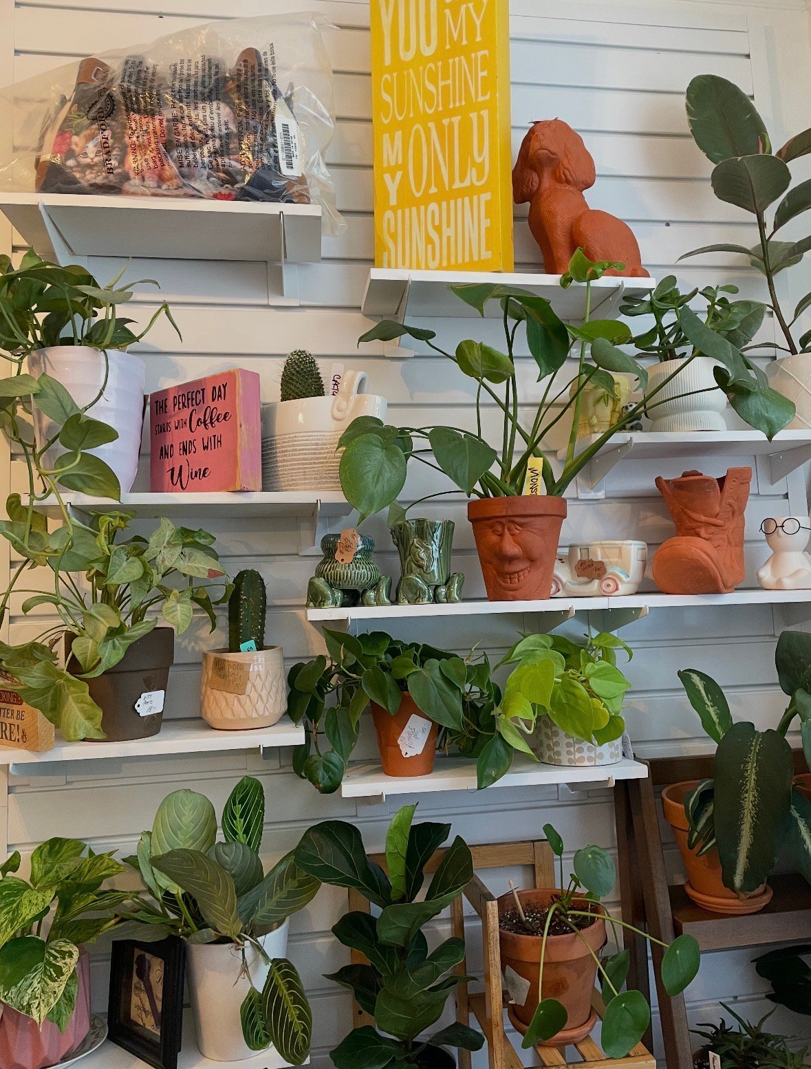 White floating shelves decorated with potted plants, a yellow motivational sign, and home decor items