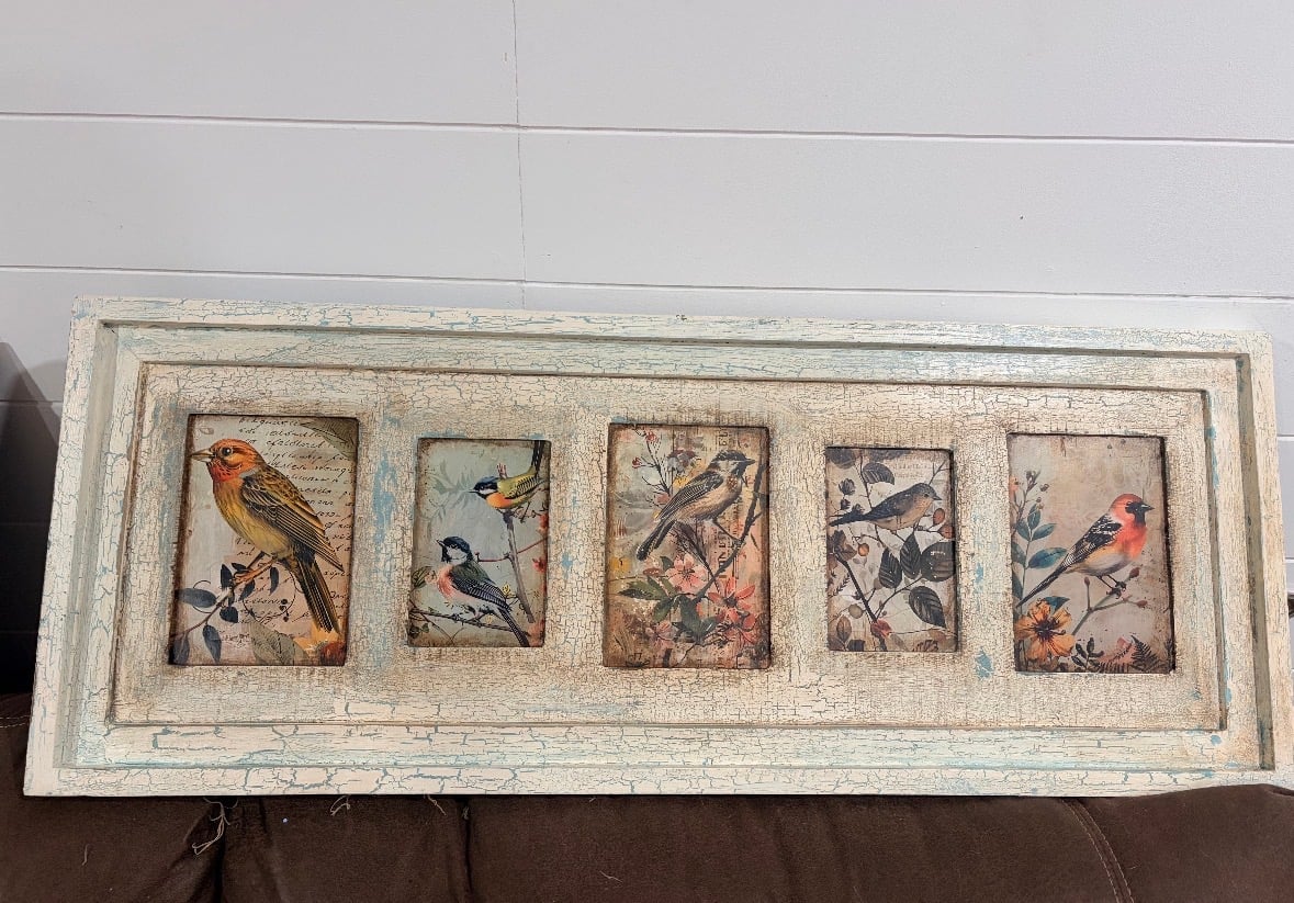 Vintage wooden wall art display featuring five framed bird illustrations on a distressed white background