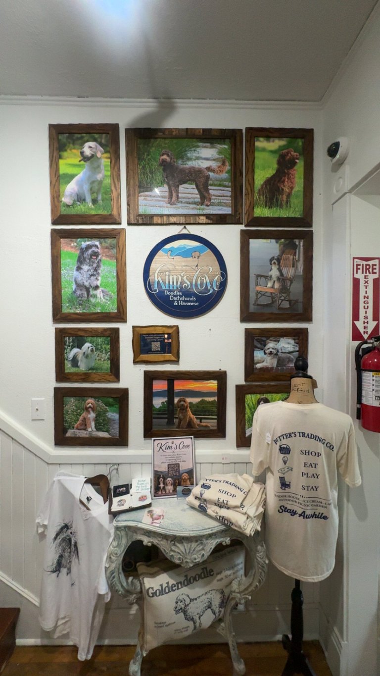 Display wall featuring framed photos of dogs, merchandise, and a chair with t-shirts and cushions